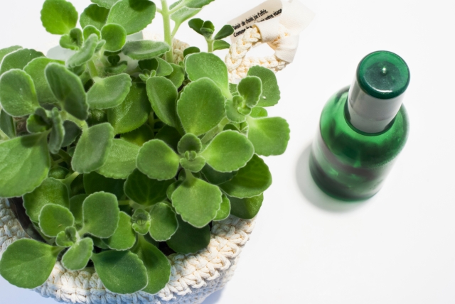 1.レモンユーカリオイル